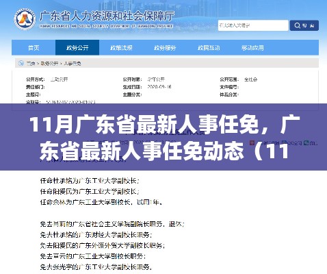 11月广东省人事任免动态，最新人事调整悉数呈现