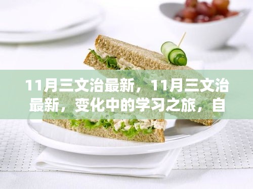 第3334页