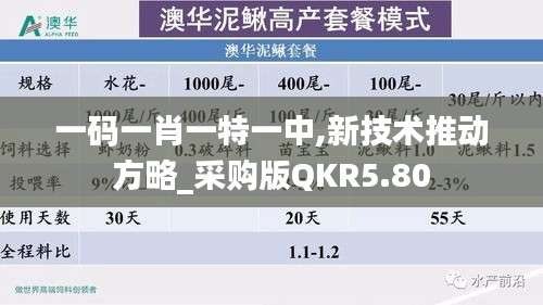投影仪 第481页