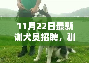 11月22日全新驯犬师招募启幕，开启驯犬新篇章，温馨相遇时刻