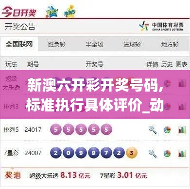 新澳六开彩开奖号码,标准执行具体评价_动态版ZEI13.20
