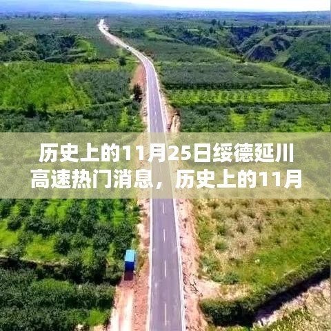 投影仪 第444页