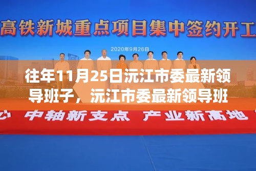 沅江市委最新领导班子解读，特性、体验、竞品对比及用户洞察分析