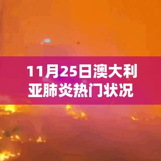11月25日澳大利亚肺炎热门状况详解，了解与应对的步骤