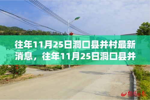 往年11月25日洞口县并村动态，深度解读乡村变革与最新发展趋势