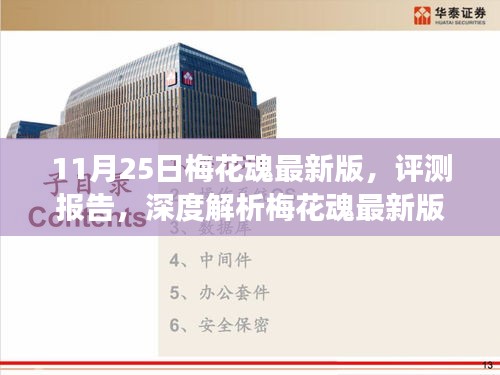深度评测报告，梅花魂最新版游戏特性与体验解析