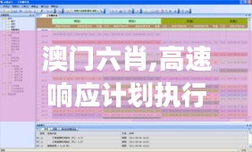 澳门六肖,高速响应计划执行_极速版EZR13.26