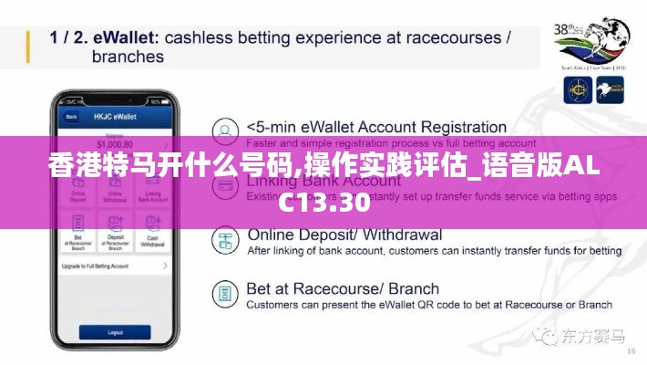 香港特马开什么号码,操作实践评估_语音版ALC13.30