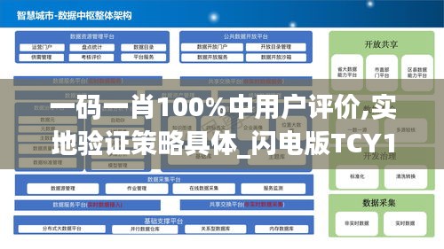 一码一肖100%中用户评价,实地验证策略具体_闪电版TCY17.746