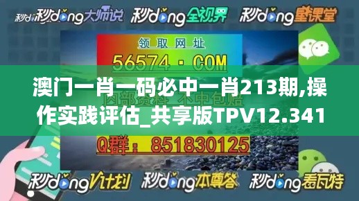 澳门一肖一码必中一肖213期,操作实践评估_共享版TPV12.341
