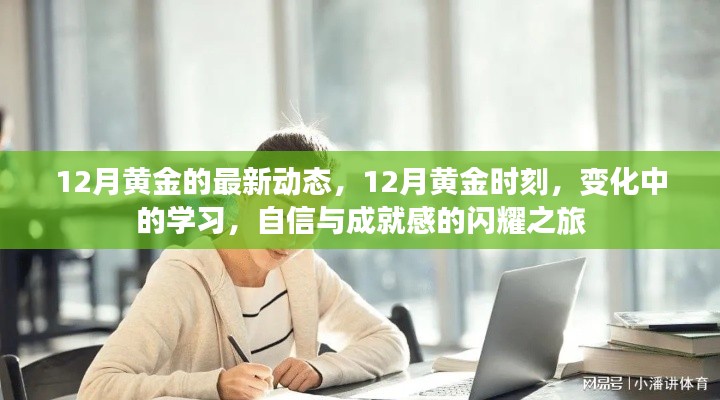 12月黄金动态，闪耀的学习之旅与自信成就感的铸就