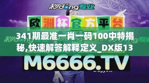 341期最准一肖一码100中特揭秘,快速解答解释定义_DX版13.205