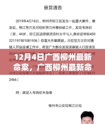 广西柳州最新命案事件揭秘，聚焦观点与深度分析