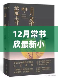 常书欣十二月新作揭秘，文学魅力与观点争议深度解析