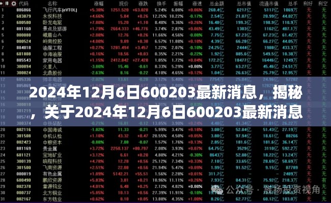 关于2024年12月6日最新消息解读，揭秘600203动态