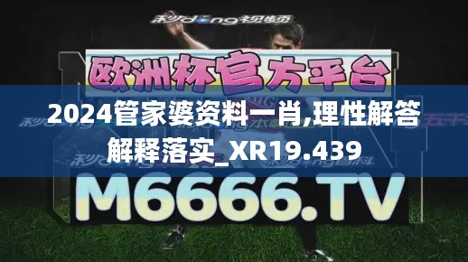 2024管家婆资料一肖,理性解答解释落实_XR19.439