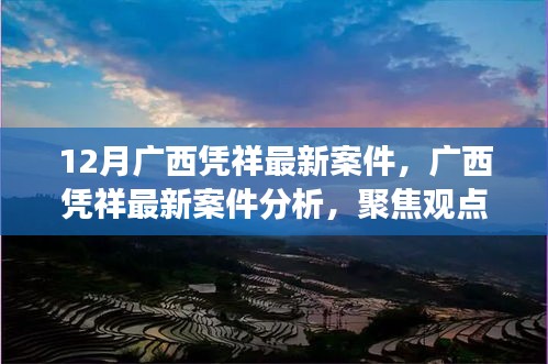 广西凭祥最新案件深度解析与观点聚焦探讨