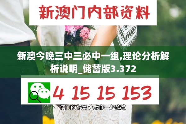 新澳今晚三中三必中一组,理论分析解析说明_储蓄版3.372