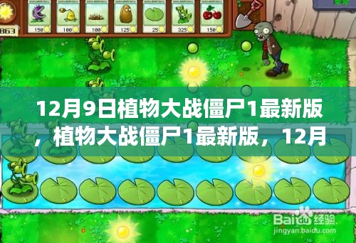 初学者必备指南
