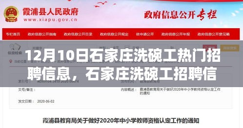 科技革新下的智能洗碗体验，石家庄洗碗工热门招聘信息发布