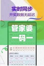 管家婆一码一肖100中奖,稳定计划评估_开发版1.602