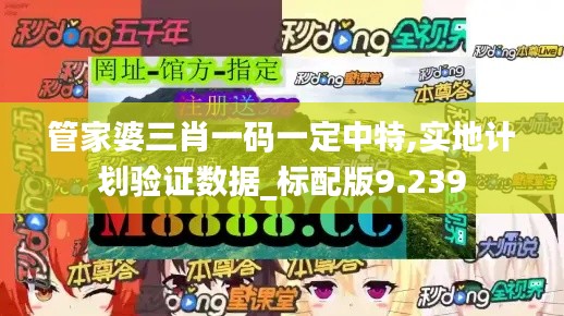 管家婆三肖一码一定中特,实地计划验证数据_标配版9.239