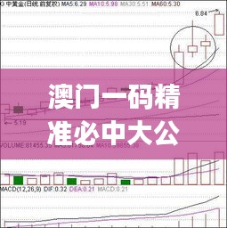 澳门一码精准必中大公开,数据实施导向策略_C版1.138