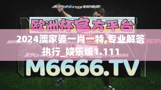2024澳家婆一肖一特,专业解答执行_娱乐版1.111