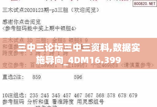三中三论坛三中三资料,数据实施导向_4DM16.399