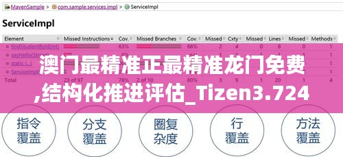 澳门最精准正最精准龙门免费,结构化推进评估_Tizen3.724