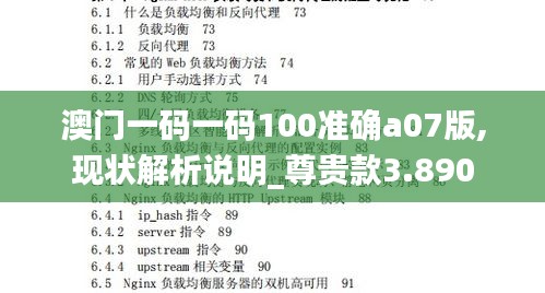 澳门一码一码100准确a07版,现状解析说明_尊贵款3.890