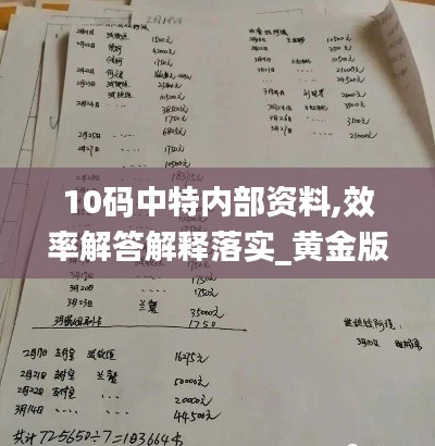 10码中特内部资料,效率解答解释落实_黄金版3.409