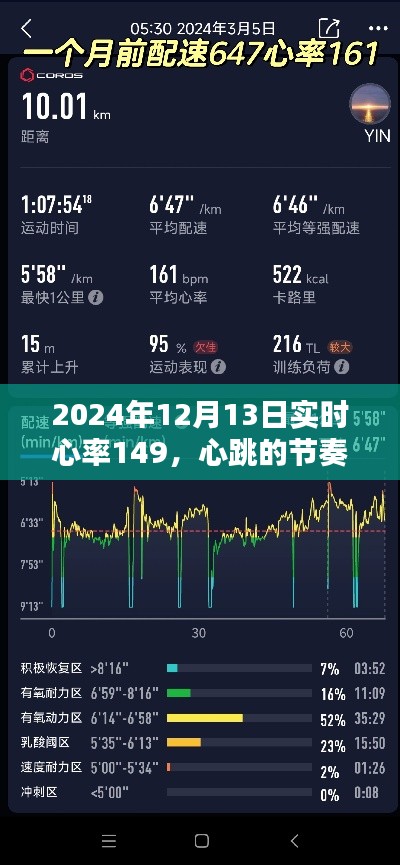 实时心率分享，心跳节奏与体验记录——小红书分享，日期，2024年12月13日