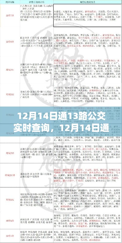 12月14日通公交13路实时查询指南，掌握最新动态，出行无忧