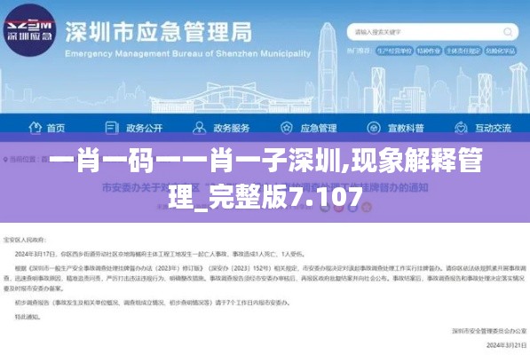 投影仪 第264页