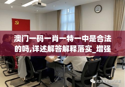 澳门一码一肖一特一中是合法的吗,详述解答解释落实_增强版18.784