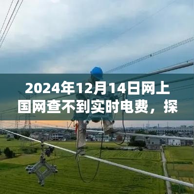网上国网电费查询失灵日，探寻自然秘境，心灵深处的宁静之旅