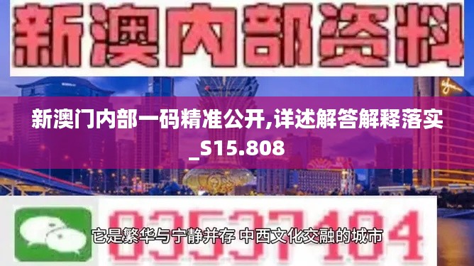 新澳门内部一码精准公开,详述解答解释落实_S15.808