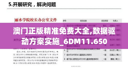 澳门正版精准免费大全,数据驱动方案实施_6DM11.650