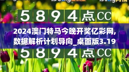 2024澳门特马今晚开奖亿彩网,数据解析计划导向_桌面版3.193