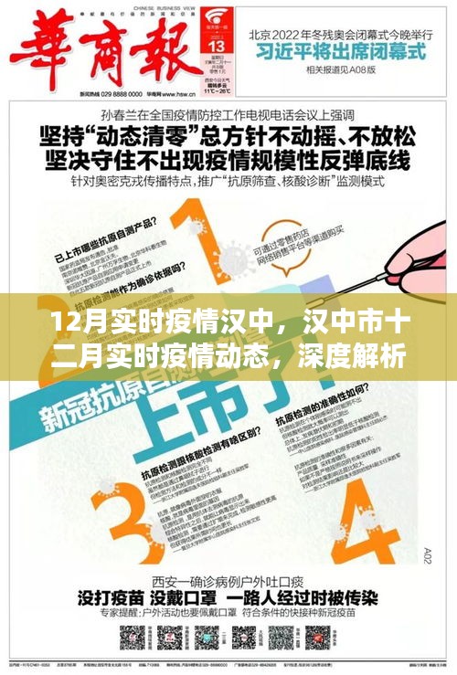 深度解析报告
