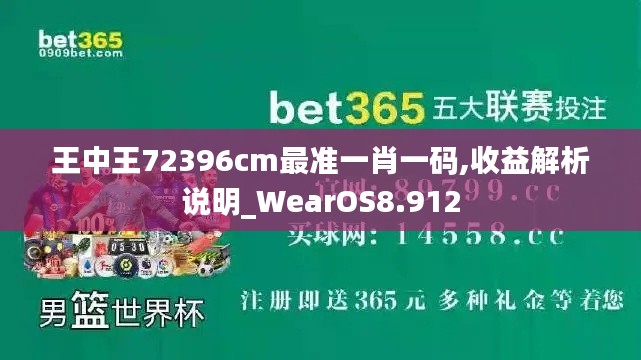 王中王72396cm最准一肖一码,收益解析说明_WearOS8.912