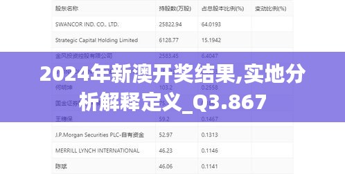 2024年新澳开奖结果,实地分析解释定义_Q3.867