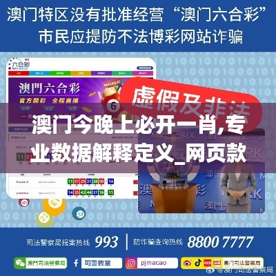 澳门今晚上必开一肖,专业数据解释定义_网页款1.236