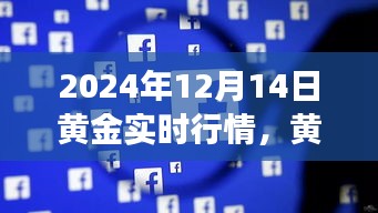 黄金行情下的励志之旅，黄金实时行情解析与自信闪耀的学习变化之路（2024年12月14日）