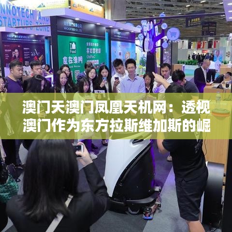 投影仪 第254页