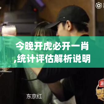 今晚开虎必开一肖,统计评估解析说明_界面版10.580