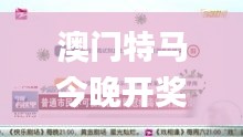 澳门特马今晚开奖结果,高效方法解析_视频版2.822