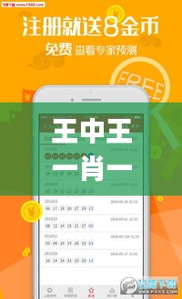 王中王一肖一特一中一,实践计划推进_UHD款9.846