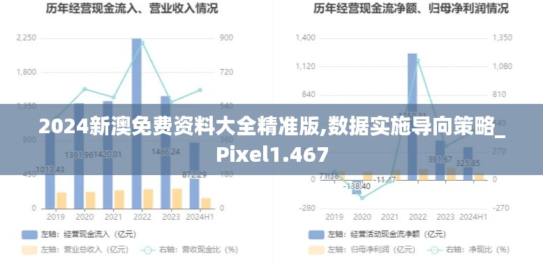 2024新澳免费资料大全精准版,数据实施导向策略_Pixel1.467